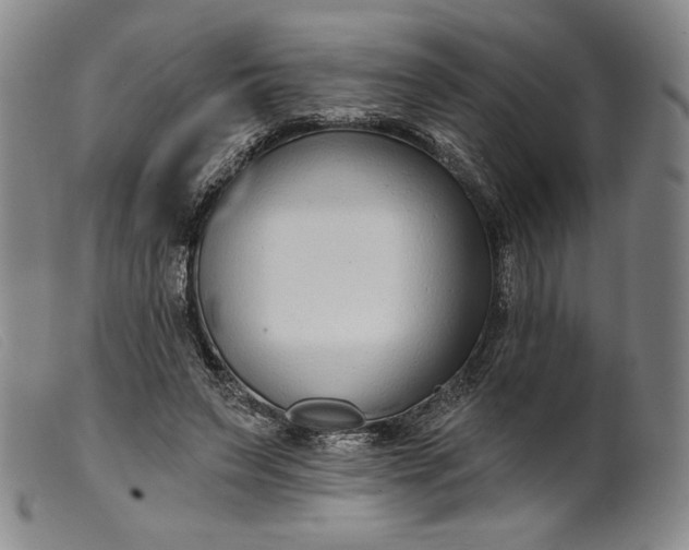 X0000099440495200805231721