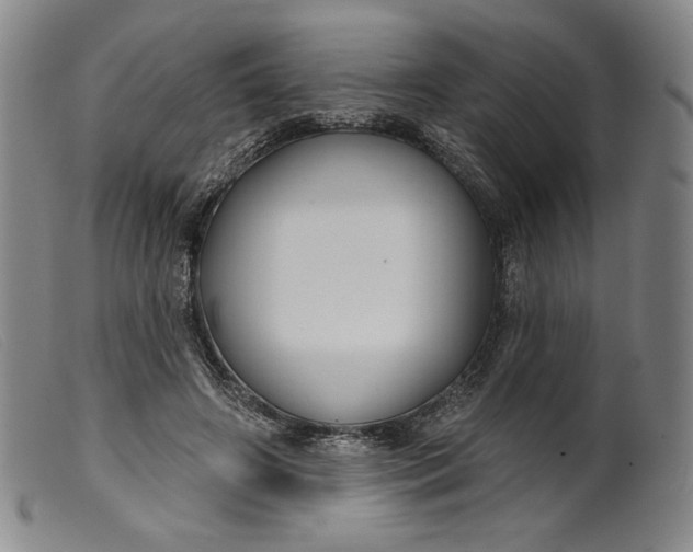 X0000099440498200805231721