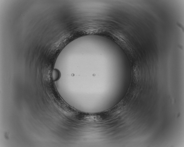 X0000099440499200805231721