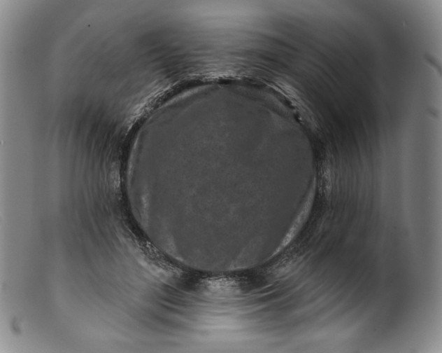 X0000099440500200805231721