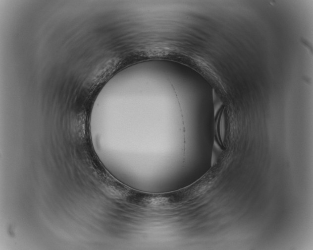 X0000099440501200805231721