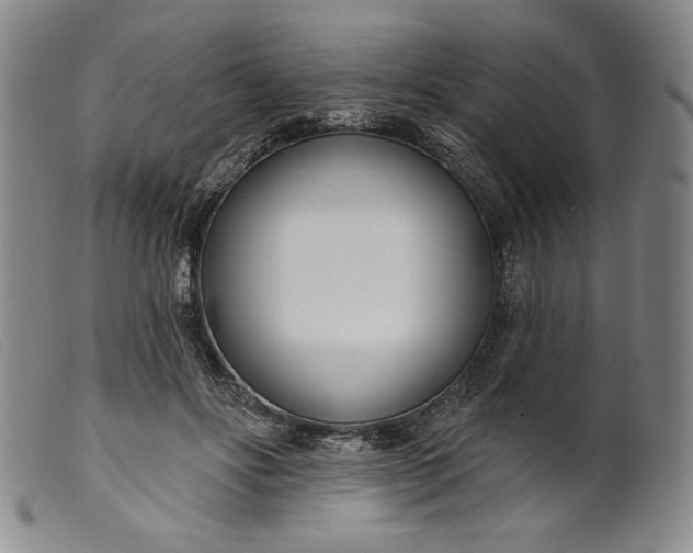 X0000099440502200805231721