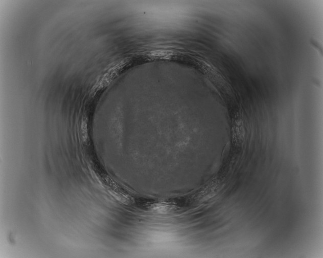 X0000099440504200805231721