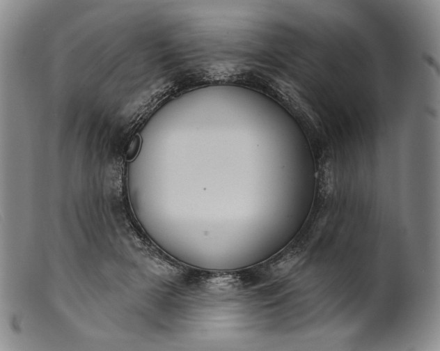 X0000099440505200805231721