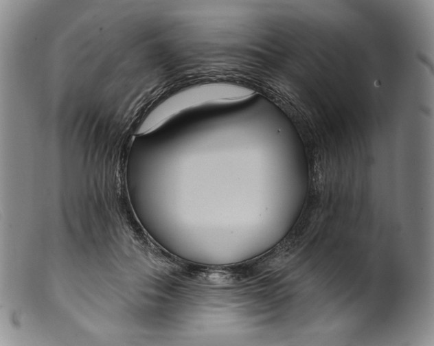 X0000099440506200805231721