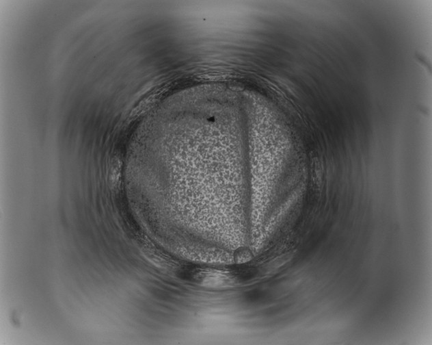 X0000099440507200805231721