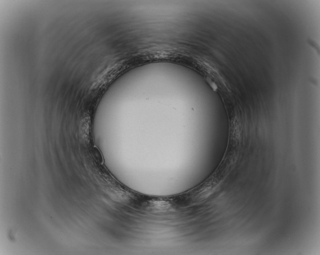 X0000099440509200805231721