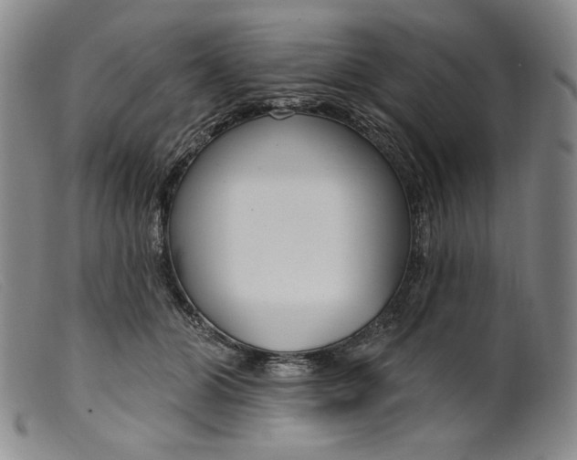 X0000099440510200805231721
