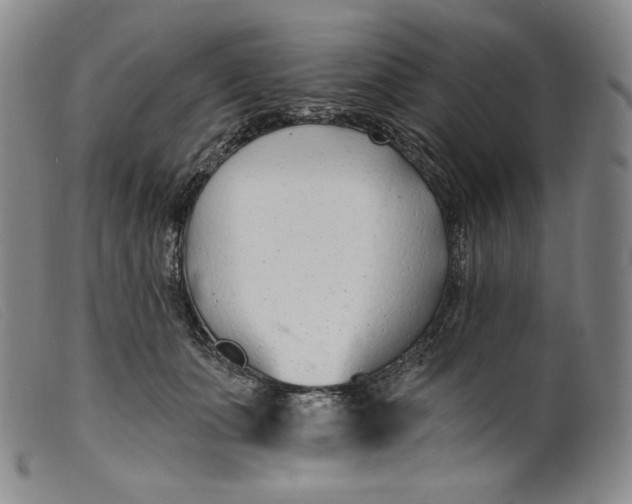 X0000099440511200805231721