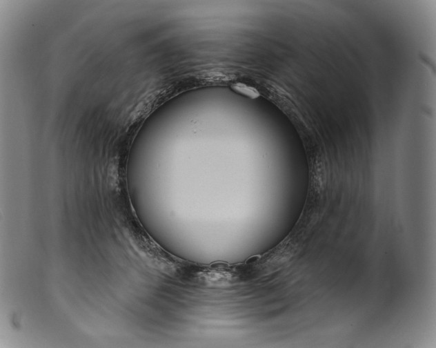 X0000099440512200805231721