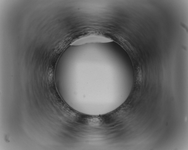 X0000099440513200805231721