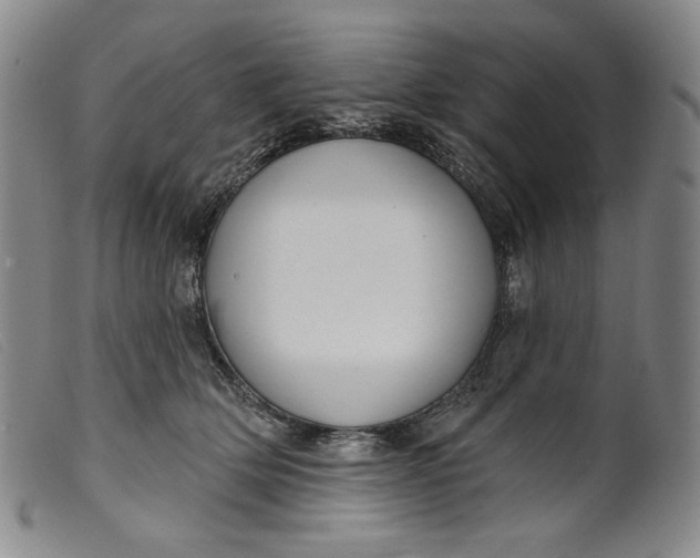 X0000099440514200805231721