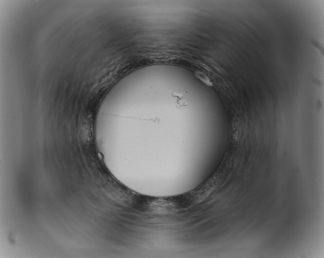 X0000099440515200805231721