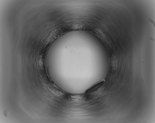 X0000099440516200805231721