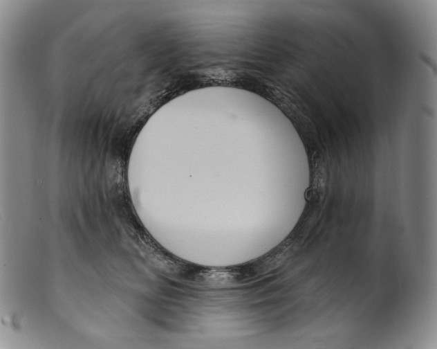 X0000099440518200805231721