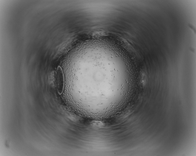 X0000099440519200805231721