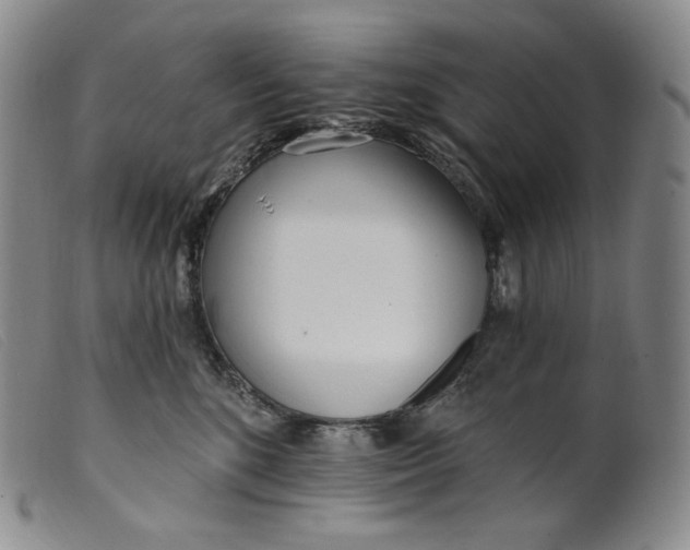 X0000099440520200805231721