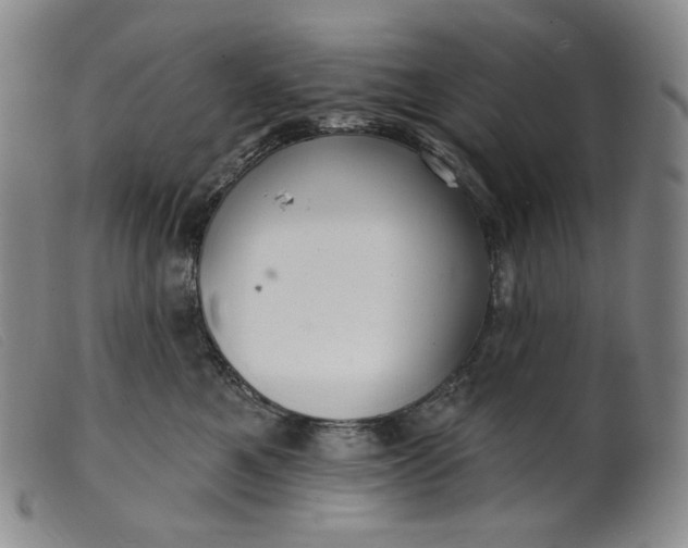 X0000099440521200805231721