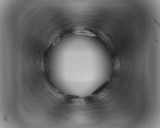 X0000099440524200805231721
