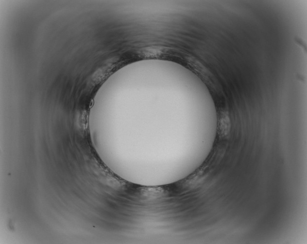X0000099440525200805231721