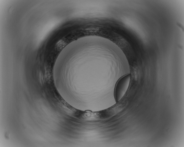 X0000099440526200805231721