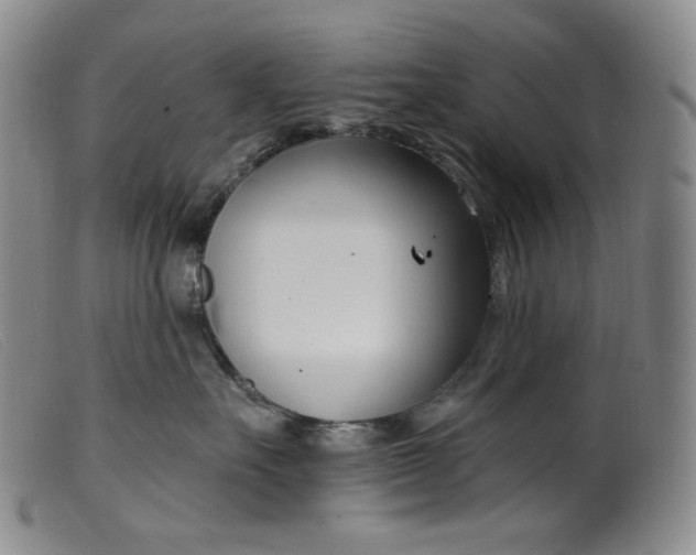 X0000099440527200805231721
