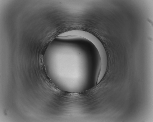 X0000099440528200805231721