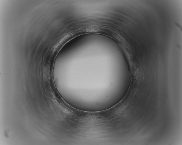 X0000099440530200805231720