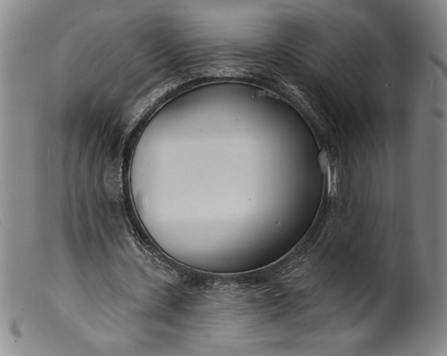 X0000099440531200805231720