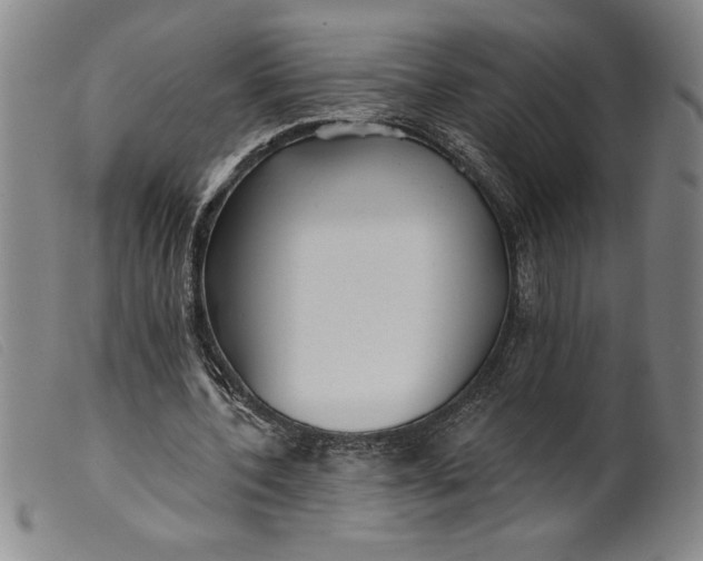 X0000099440532200805231720