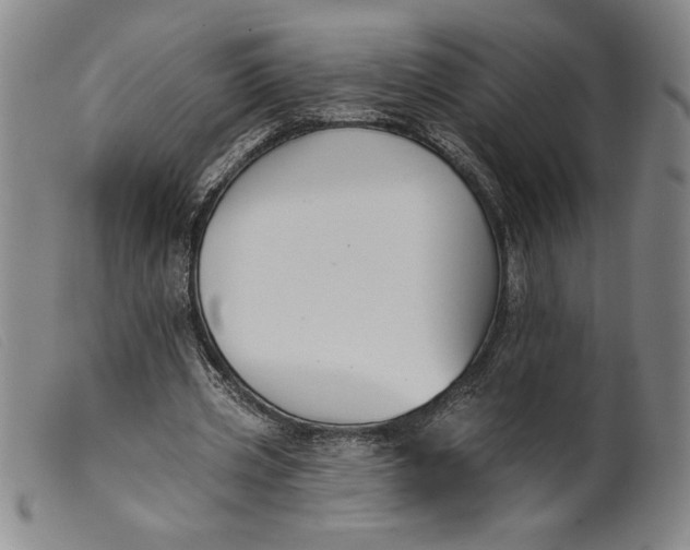 X0000099440533200805231720