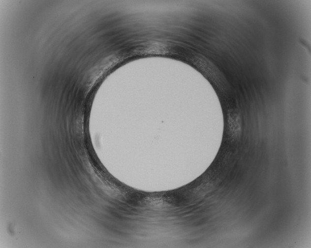 X0000099440534200805231720