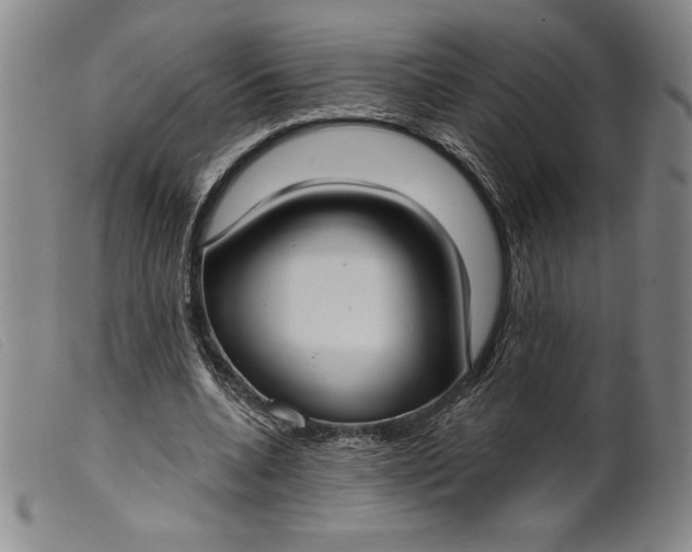 X0000099440536200805231720