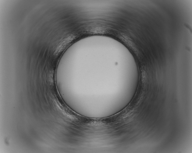 X0000099440537200805231720