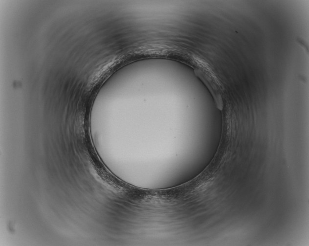 X0000099440538200805231720