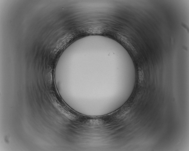 X0000099440541200805231720