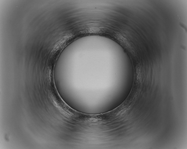 X0000099440542200805231720