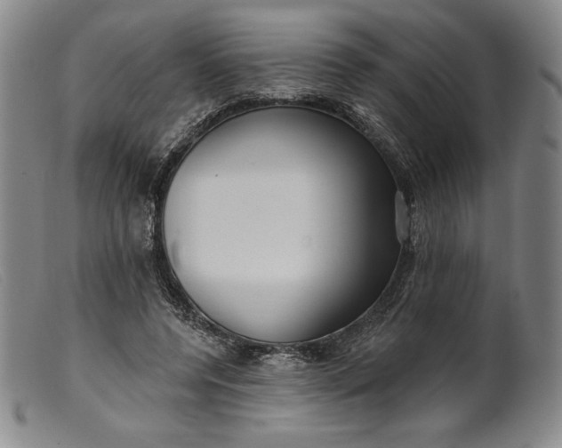 X0000099440544200805231720
