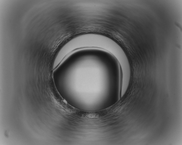 X0000099440546200805231720