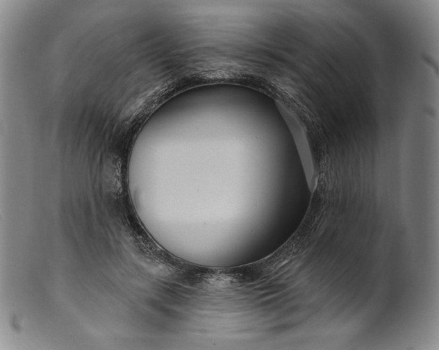 X0000099440547200805231720