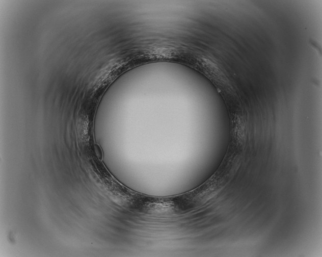 X0000099440548200805231720