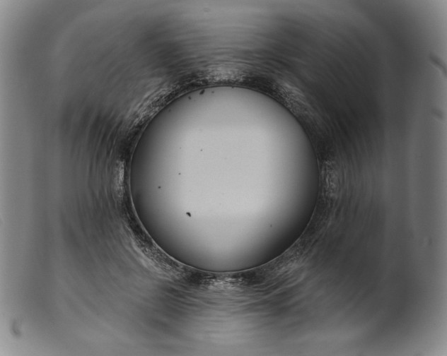 X0000099440550200805231720