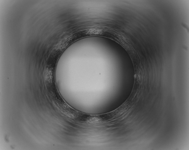 X0000099440551200805231720
