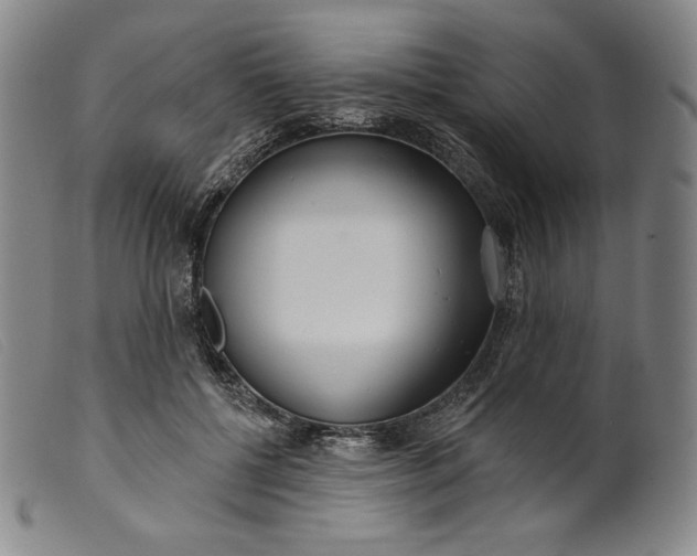 X0000099440552200805231720