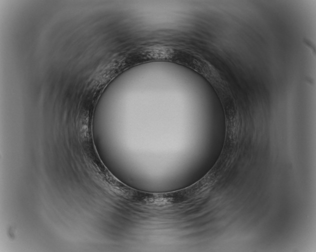 X0000099440553200805231720