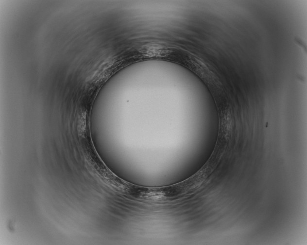 X0000099440554200805231720