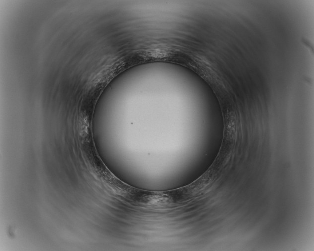 X0000099440555200805231720