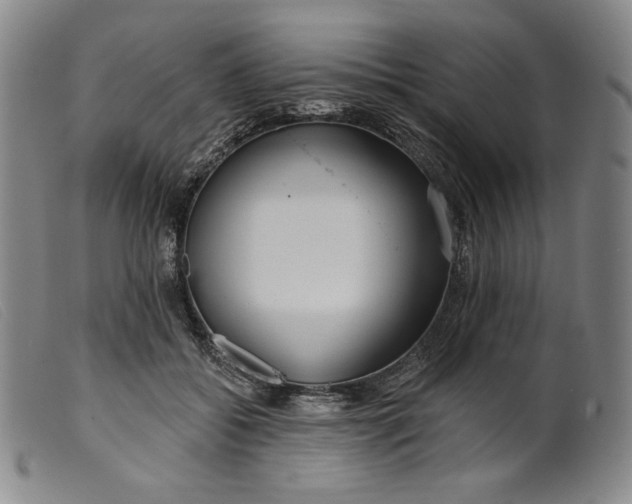 X0000099440556200805231720