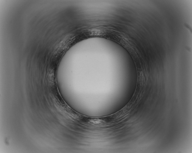 X0000099440557200805231720