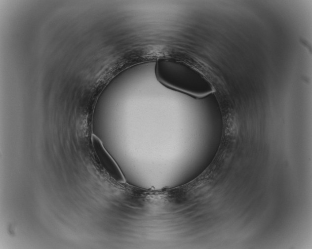 X0000099440560200805231720